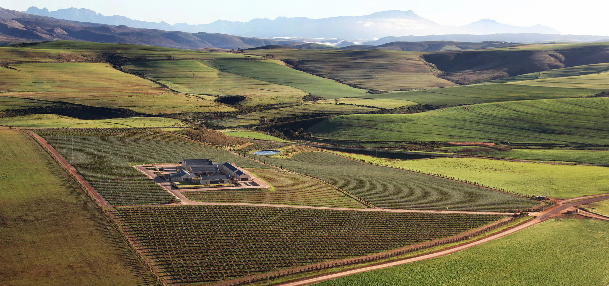 Aerial view of a boutique wine estate surrounded by vineyards and mountains in South Africa, curated by Wild Vine Travel.