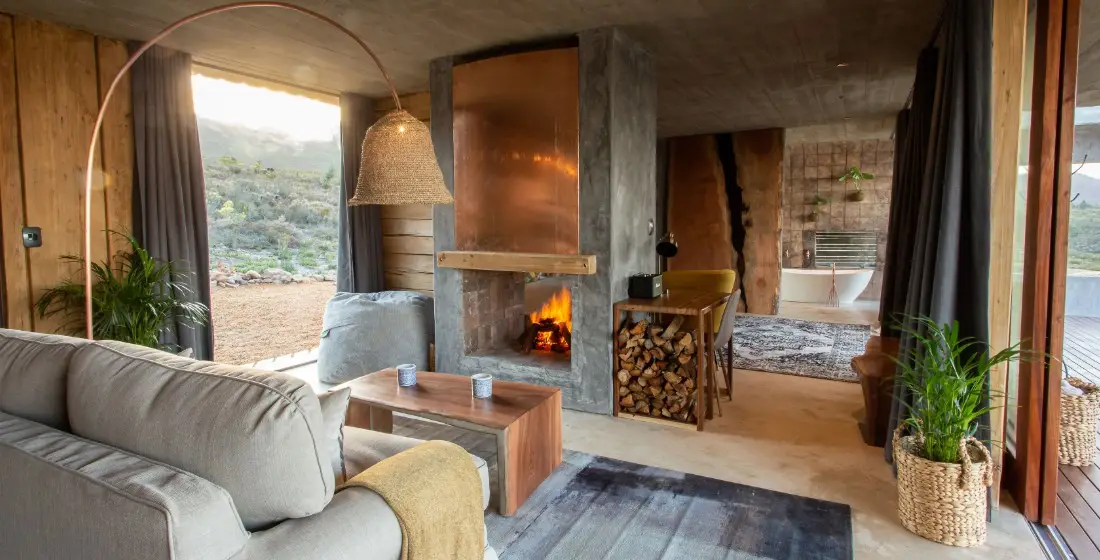 Luxury Accommodation Big Five Safari Cape Winelands Tour Slow Travel Bespoke South African Travel Wile Vine Travel